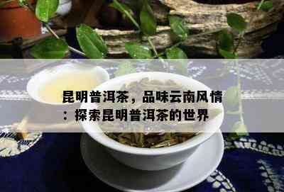 昆明普洱茶，品味云南风情：探索昆明普洱茶的世界