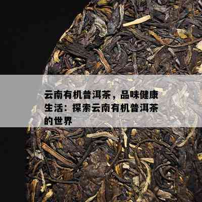 云南有机普洱茶，品味健康生活：探索云南有机普洱茶的世界