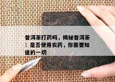 普洱茶打吗，揭秘普洱茶：是否使用农，你需要知道的一切