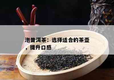 泡普洱茶：选择适合的茶壶，提升口感