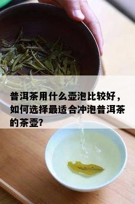 普洱茶用什么壶泡比较好，如何选择最适合冲泡普洱茶的茶壶？