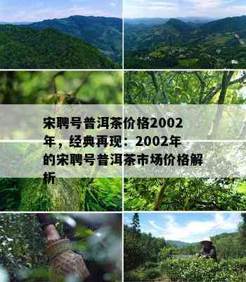 宋聘号普洱茶价格2002年，经典再现：2002年的宋聘号普洱茶市场价格解析