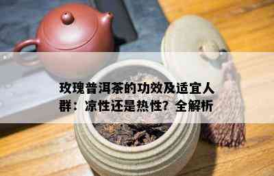 玫瑰普洱茶的功效及适宜人群：凉性还是热性？全解析