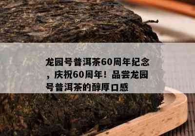 龙园号普洱茶60周年纪念，庆祝60周年！品尝龙园号普洱茶的醇厚口感