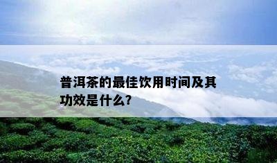 普洱茶的更佳饮用时间及其功效是什么？