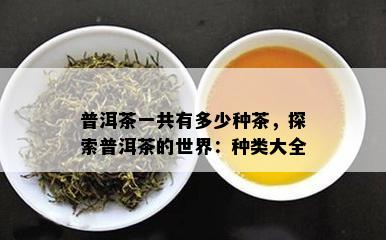 普洱茶一共有多少种茶，探索普洱茶的世界：种类大全