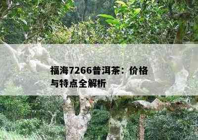 福海7266普洱茶：价格与特点全解析