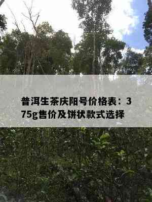 普洱生茶庆阳号价格表：375g售价及饼状款式选择