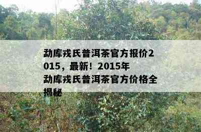 勐库戎氏普洱茶官方报价2015，最新！2015年勐库戎氏普洱茶官方价格全揭秘