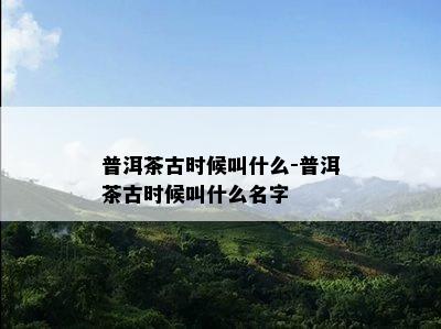 普洱茶古时候叫什么-普洱茶古时候叫什么名字