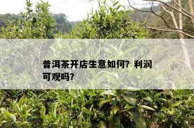 普洱茶开店生意怎样？利润可观吗？