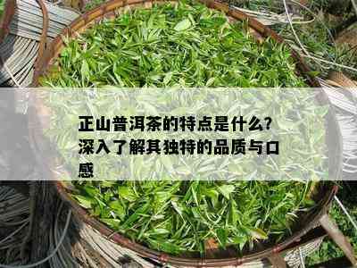 正山普洱茶的特点是什么？深入熟悉其特别的品质与口感