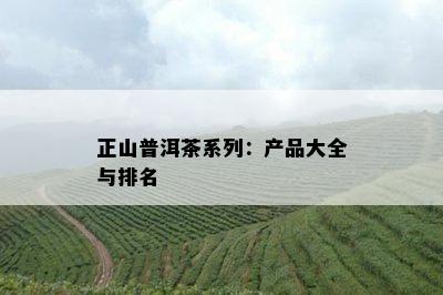 正山普洱茶系列：产品大全与排名