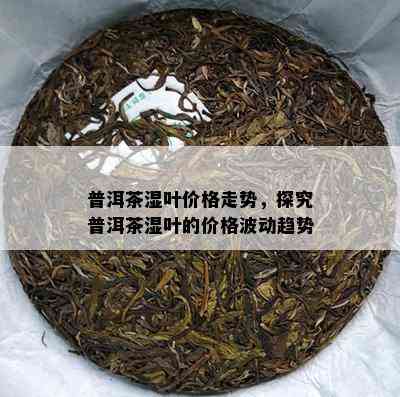 普洱茶湿叶价格走势，探究普洱茶湿叶的价格波动趋势