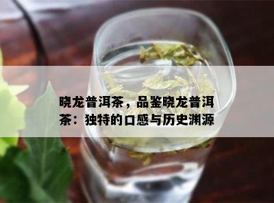 晓龙普洱茶，品鉴晓龙普洱茶：特别的口感与历史渊源