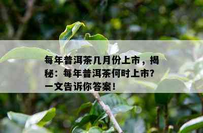 每年普洱茶几月份上市，揭秘：每年普洱茶何时上市？一文告诉你答案！