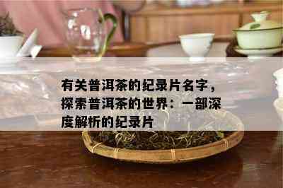 有关普洱茶的纪录片名字，探索普洱茶的世界：一部深度解析的纪录片