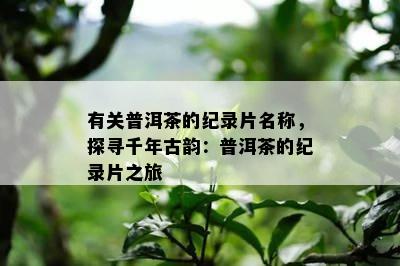 有关普洱茶的纪录片名称，探寻千年古韵：普洱茶的纪录片之旅