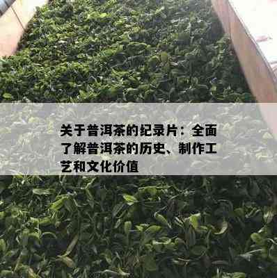 关于普洱茶的纪录片：全面熟悉普洱茶的历史、制作工艺和文化价值