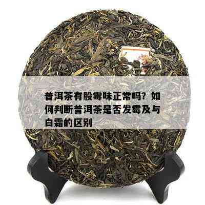 普洱茶有股霉味正常吗？怎样判断普洱茶是不是发霉及与白霜的区别