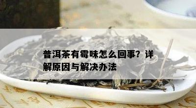 普洱茶有霉味怎么回事？详解起因与解决办法