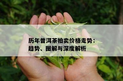 历年普洱茶拍卖价格走势：趋势、图解与深度解析