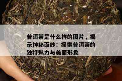 普洱茶是什么样的图片，揭示神秘面纱：探索普洱茶的特别魅力与美丽形象