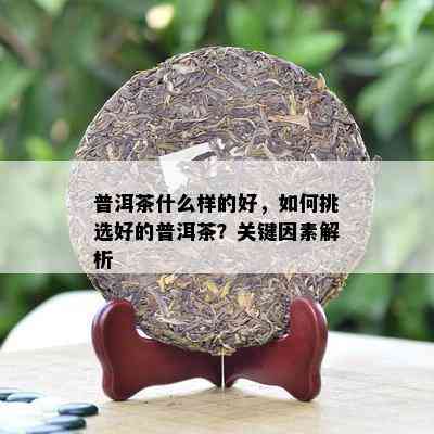 普洱茶什么样的好，如何挑选好的普洱茶？关键因素解析