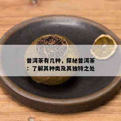 普洱茶有几种，探秘普洱茶：熟悉其种类及其特别之处