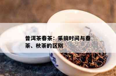 普洱茶春茶：采摘时间与春茶、秋茶的区别