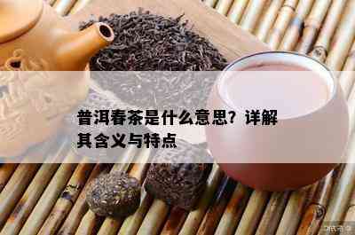 普洱春茶是什么意思？详解其含义与特点