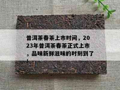 普洱茶春茶上市时间，2023年普洱茶春茶正式上市，品味新鲜滋味的时刻到了！