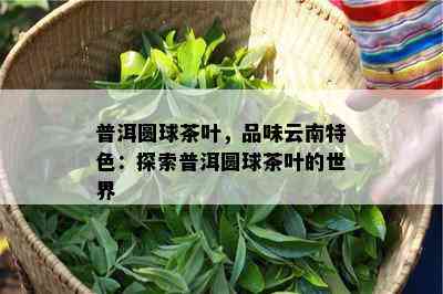 普洱圆球茶叶，品味云南特色：探索普洱圆球茶叶的世界