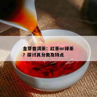 金芽普洱茶：红茶or绿茶？探讨其分类及特点