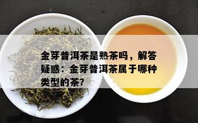 金芽普洱茶是熟茶吗，解答疑惑：金芽普洱茶属于哪种类型的茶？