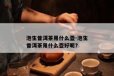 泡生普洱茶用什么壶-泡生普洱茶用什么壶好呢?