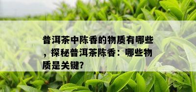 普洱茶中陈香的物质有哪些，探秘普洱茶陈香：哪些物质是关键？