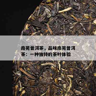 南苑普洱茶，品味南苑普洱茶：一种独特的茶叶体验