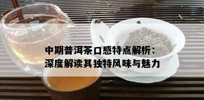 中期普洱茶口感特点解析：深度解读其独特风味与魅力