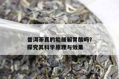 普洱茶真的能缓解胃酸吗？探究其科学原理与效果