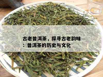 古老普洱茶，探寻古老韵味：普洱茶的历史与文化