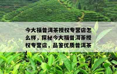 今大福普洱茶授权专营店怎么样，探秘今大福普洱茶授权专营店，品鉴优质普洱茶！