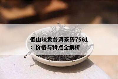 佤山映象普洱茶砖7561：价格与特点全解析