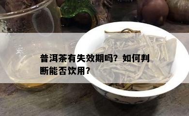 普洱茶有失效期吗？如何判断能否饮用？