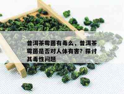 普洱茶霉菌有么，普洱茶霉菌是不是对人体有害？探讨其性疑问