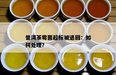 普洱茶霉菌超标被退回：怎样解决？