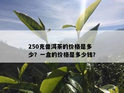 250克普洱茶的价格是多少？一盒的价格是多少钱？