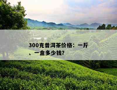 300克普洱茶价格：一斤、一盒多少钱？