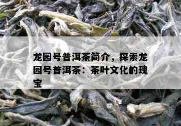 龙园号普洱茶简介，探索龙园号普洱茶：茶叶文化的瑰宝