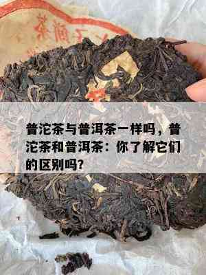 普沱茶与普洱茶一样吗，普沱茶和普洱茶：你熟悉它们的区别吗？